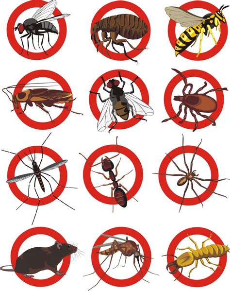 Pest Control Bergen County Pest Exterminator Nj Pest Management