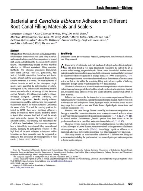 Bacterial And Candida Albicans Adhesion Pdf Confocal Microscopy