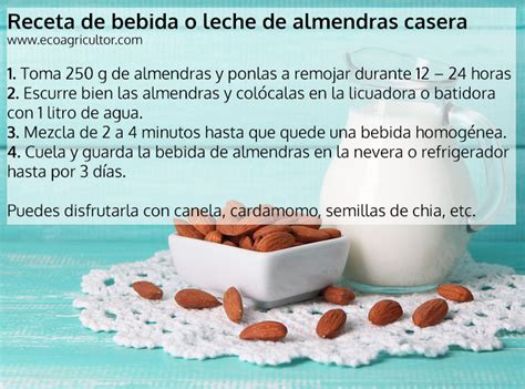 Bebida De Almendras Beneficios Y Propiedades De Esta Leche Vegetal