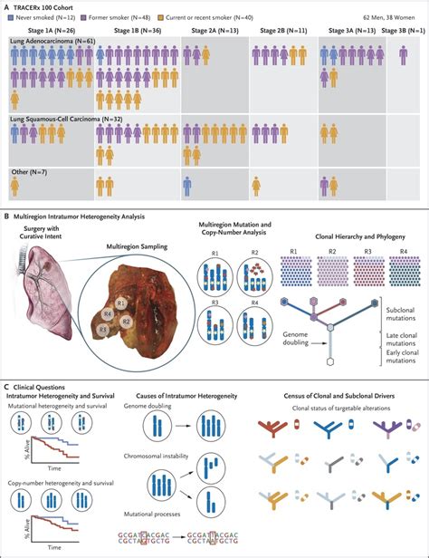 Tracking The Evolution Of Nonsmall Cell Lung Cancer Nejm