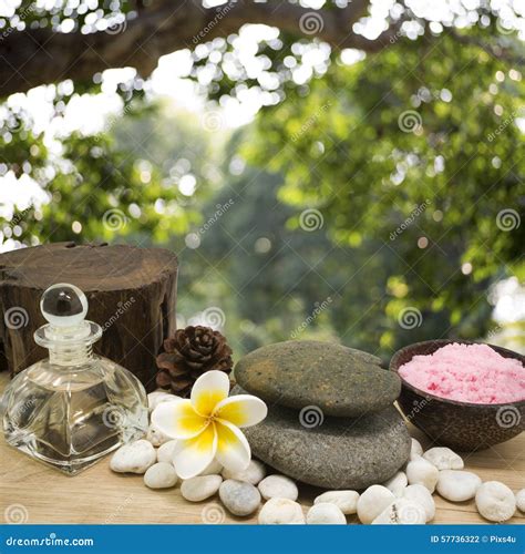 Spa Elements With Beautiful Natural Background Stock Photo Image