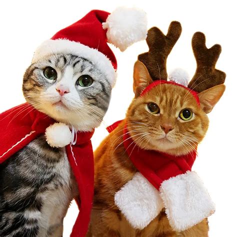 Christmas Cat Costumes | That's So Fetch!