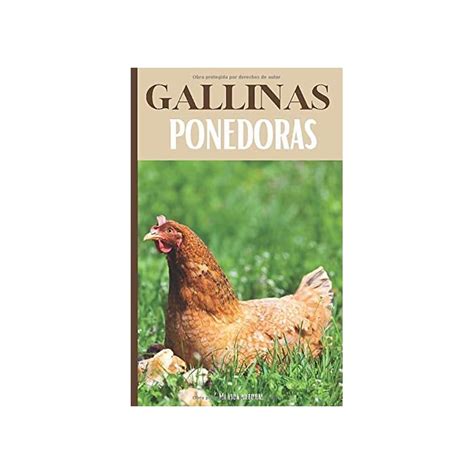 Buy Gallinas Ponedoras Todo Lo Que Se Necesita Para Criar Una Gallina