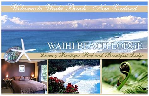 Waihi Beach Lodge: Fishing - Waihi Beach