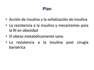 Resistencia A La Insulina Aprende Como Altera Tu Metabolismo