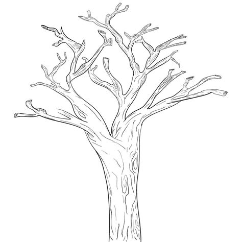 Tree Branches With Pattern - 10 Free PDF Printables | Printablee | Free ...