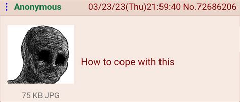 4chan How To Cope With This Blank Template - Imgflip