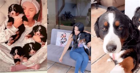 Ros Ngela Espinoza Grab El Reencuentro De Su Perrita Bianca Con Sus