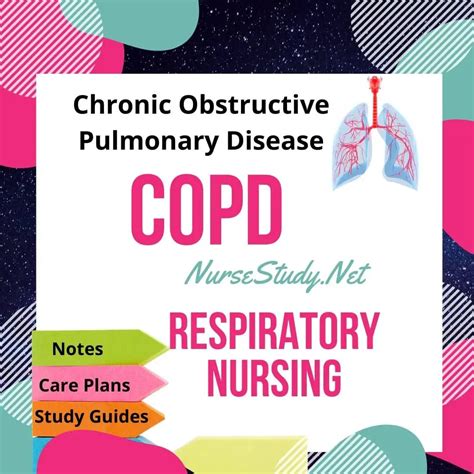 Copd Chronic Obstructive Pulmonary Disease Pathophysiology Care Plan Porn Sex Picture