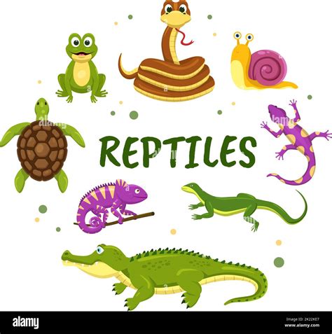 Ensemble de modèles de reptiles animaux dessin main dessin d un dessin