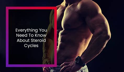 Everything You Need To Know About Steroid Cycles What Are They Main