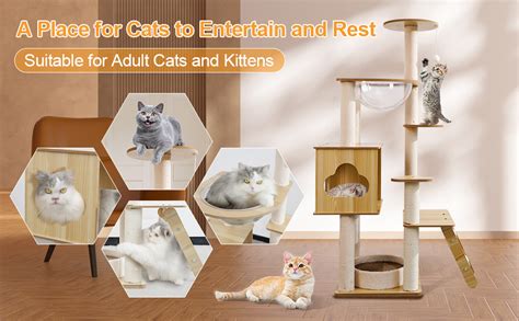 Amazon Sthdofrpaits Modern Wooden Cat Tree In Tall Wood Cat