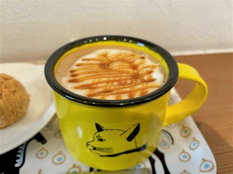 【高松市】自家焙煎コーヒーとおいしいスイーツが楽しめるコーヒーロースター♪猫ちゃんグッズに囲まれて（鈴木広子） エキスパート Yahooニュース