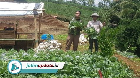 Penyaluran Dana Desa Jatim September Tahun Capai