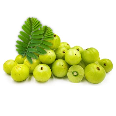 A Grade Fresh Amla Packaging Size Kg Packaging Type Carton At Rs