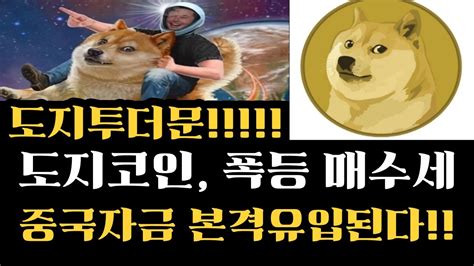 도지코인 도지투더문 긴급속보 머스크 중국자금 본격유입된다 도지코인300 폭등호재 도지코인목표가 도지코인전망