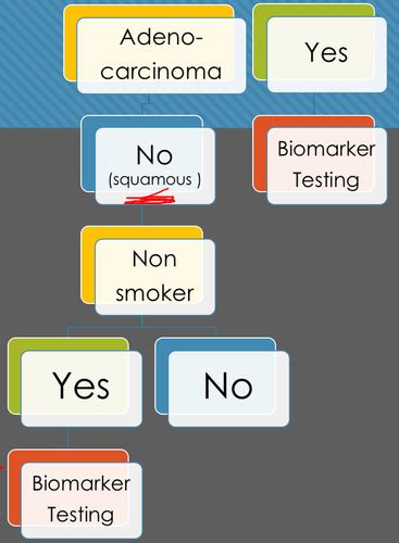 416 Exam 6 Lung Cancer Flashcards Quizlet