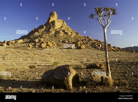 Richtersveld Hi Res Stock Photography And Images Alamy