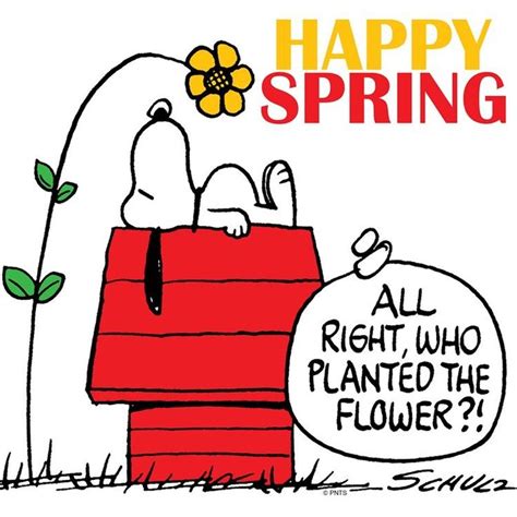 Pin De Deanie Mooney En Snoopy Eeyore Feliz Primavera Pandilla Feliz