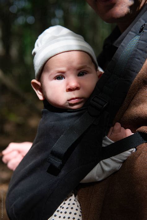 Baby In Carrier While Walking In The Woods By Stocksy Contributor