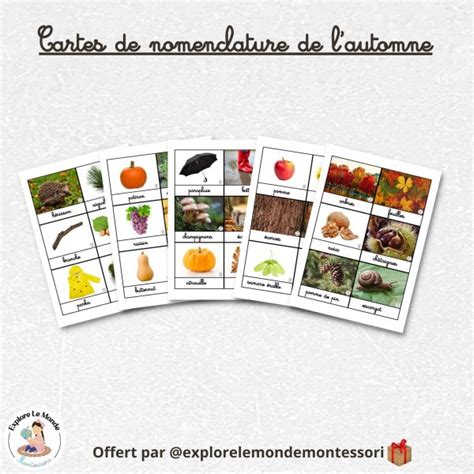 Cartes De Nomenclature De Lautomne Explore Le Monde Montessori