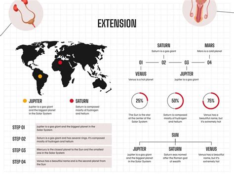 Anatomy Poster for Education Presentation