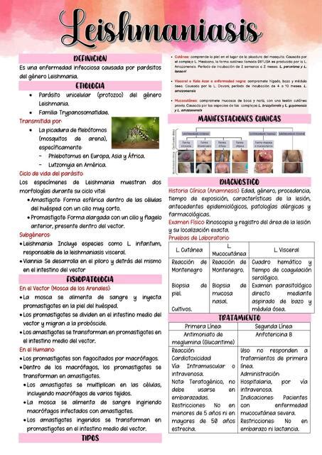 Leishmaniasis Aida Nursnotes Udocz