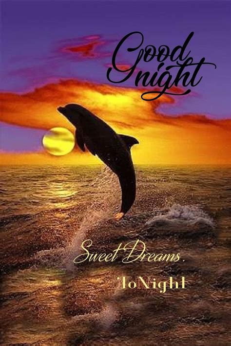 A Dolphin Jumping Out Of The Water At Sunset With Words Good Night