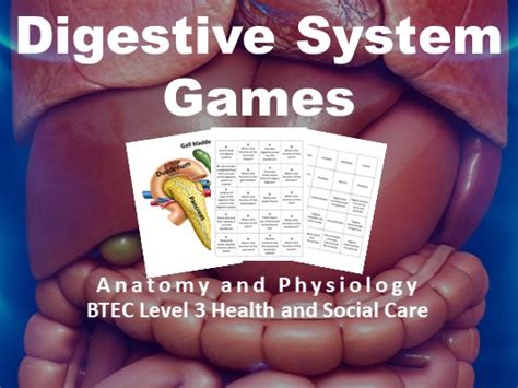 Btec Health And Social Care Anatomy And Physiology Digestive System Games Teaching Resources