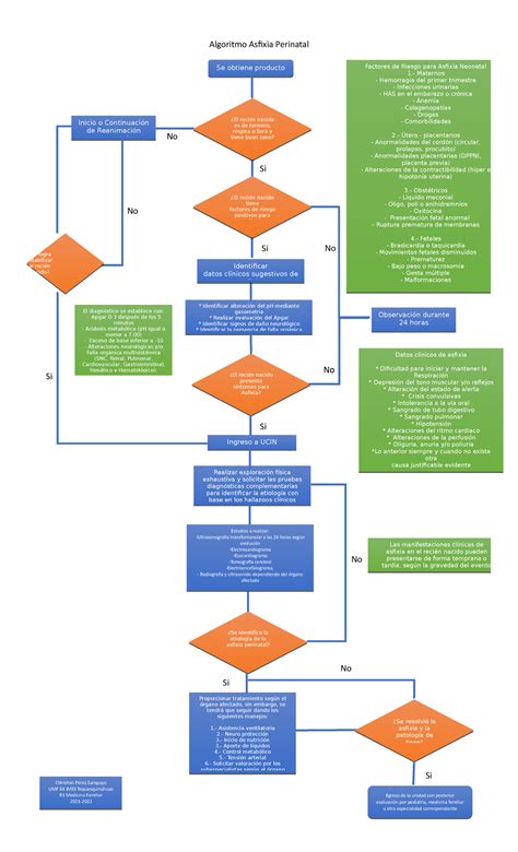 Flujograma Atencion Del Recien Nacido Algoritmo Asfixia Perinatal