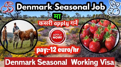 Denmark Working Visa From Nepal Denmark Seasonal Work Visa 2023