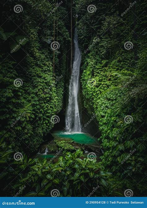 Waterfall in Bali so Beautiful Stock Photo - Image of forest, bali ...