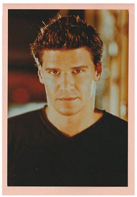 Https Ebay Fr Itm David Boreanaz Photo Couleur Format Environ