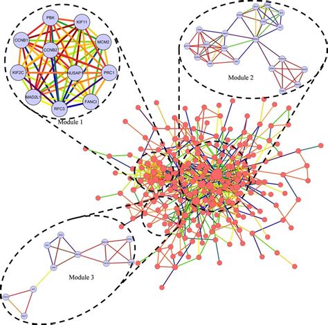 Top 3 Modules From The Protein Protein Interaction Network