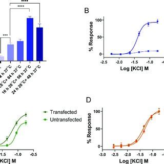 The Optimization Of Transient Transfection A The Comparison Of Mm