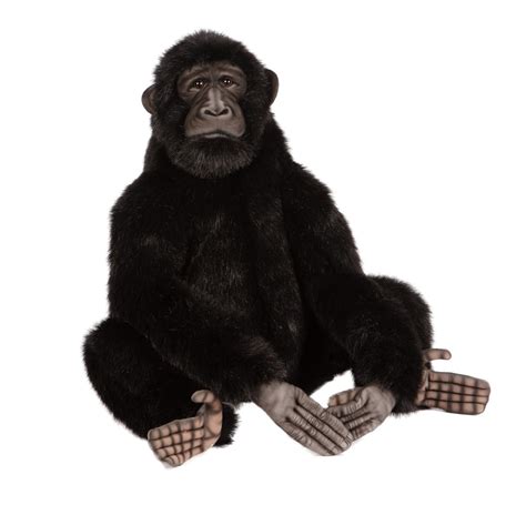 Chimpanzee (Bonobo) 55cmH - Hamac Trading