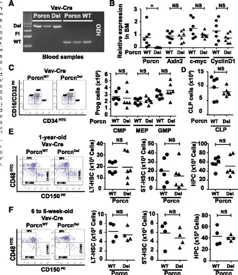 Figure 4 From Wnts Are Dispensable For Differentiation And Self Renewal