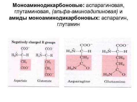 Лекция 1 Предмет биохимии История развития