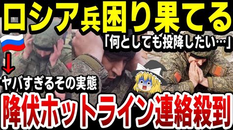 【ゆっくり解説】ロシア兵投降したくて必死！ウクライナが用意した『降伏ホットライン』に露兵からの連絡が殺到！ Youtube