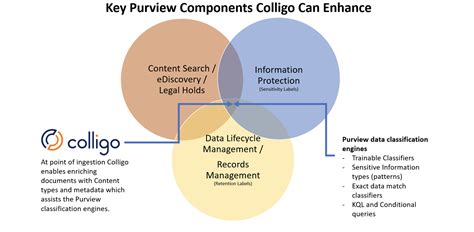 Microsoft Purview Coligo App