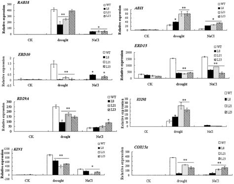 Quantitative Rt Pcr Analysis Of Expressions Of The Stress Related Genes