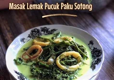 Resipi Masak Lemak Pucuk Paku Sotong Oleh Salina Jalaludin Cookpad