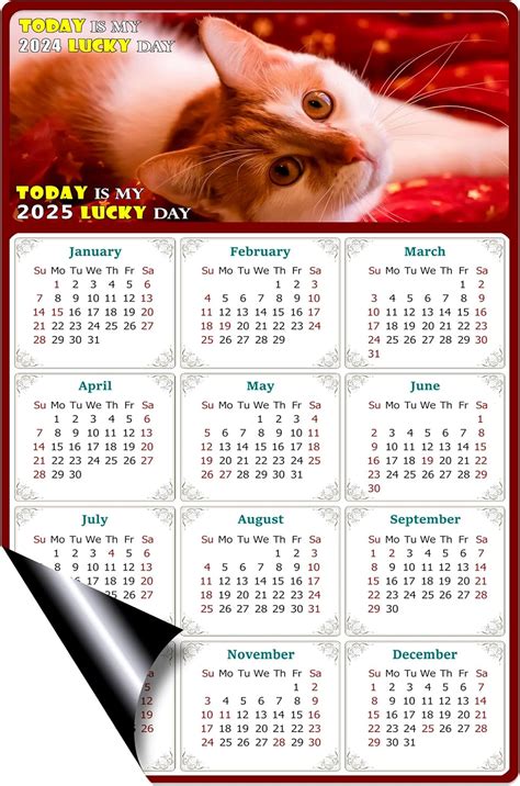 Calendario Magn Tico Imanes Del Calendario Today Is My Lucky Day