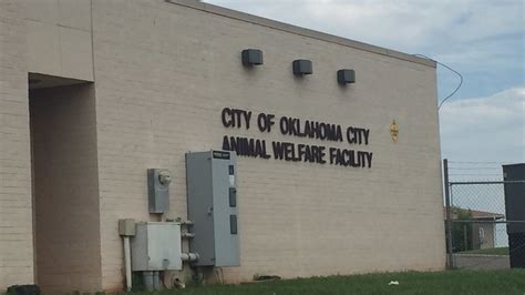 Oklahoma City Animal Shelter to feature free pet adoptions May 4 ...