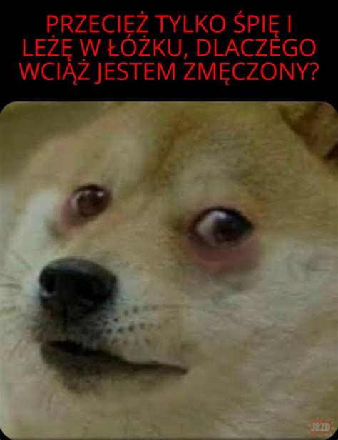 Dziej Si Rzeczy Kt Rych Nie Rozumiem