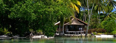 Uepi Island Resort Reviews And Specials Bluewater Dive Travel