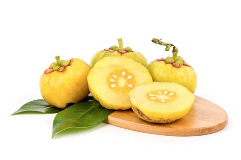 Garcinia Cambogia Extract - Natural Weight Management - Naturmed Scientific