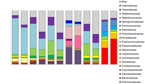 Taxonomic Profiles Twenty Top Abundant Bacterial Families In The