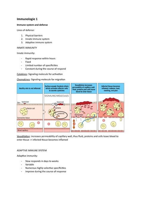 Samenvatting Immunologie Deeltoets 1 Immunologie 1 Immune System And