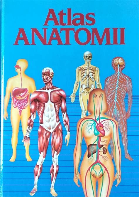 Barnabe Ortega Atlas Anatomii